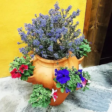 Douro Valley - Casa Vale Do Douro Dom wakacyjny Lamego