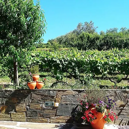 Douro Valley - Casa Vale Do Douro