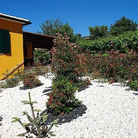 בית נופש Douro Valley - Casa Vale Do Douro למאגו