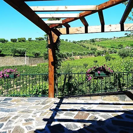 Douro Valley - Casa Vale Do Douro למאגו
