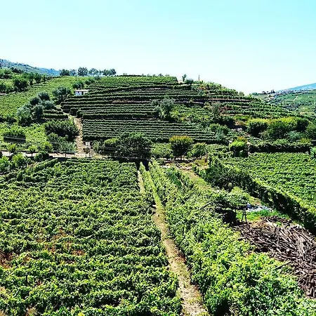 בית נופש Douro Valley - Casa Vale Do Douro למאגו