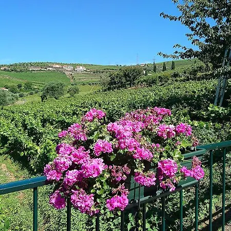 בית נופש Douro Valley - Casa Vale Do Douro
