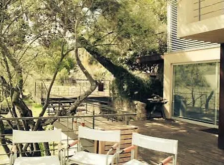 Tatil Evi Douro Valley - Casa Vale Do Douro Lamego