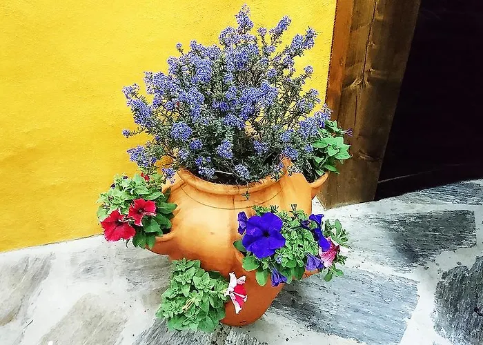 Douro Valley - Casa Vale Do Douro בית נופש למאגו