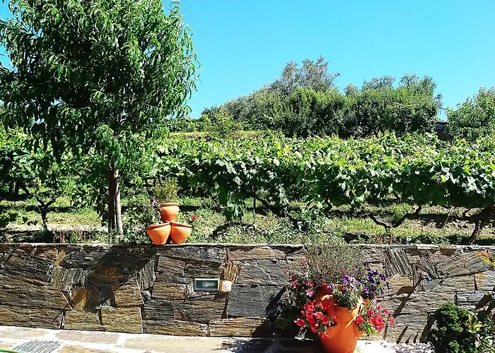 Douro Valley - Casa Vale Do Douro