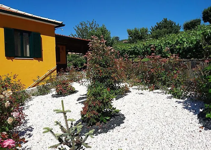 펜션 Douro Valley - Casa Vale Do Douro 라메구