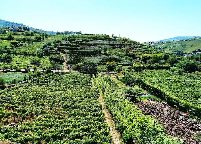 בית נופש Douro Valley - Casa Vale Do Douro למאגו