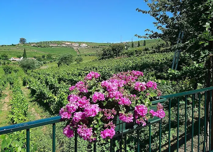 בית נופש Douro Valley - Casa Vale Do Douro